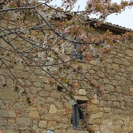 Riposati Monticchiello